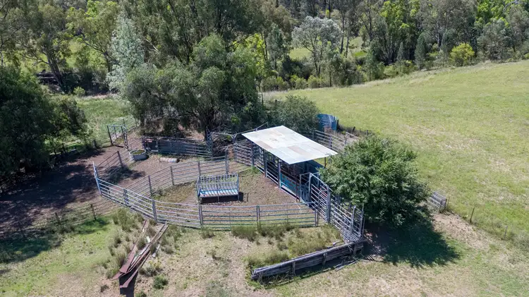 Fourth view of Homely rural property listing, 1550 Adam Scrub Rd, Delungra NSW 2403, Inverell NSW 2360