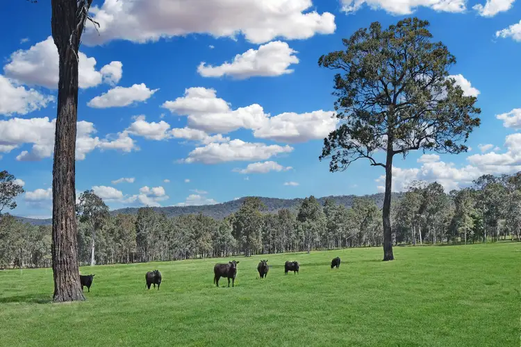 Fourth view of Homely rural property listing, 150 Listers Lane, Congewai NSW 2325