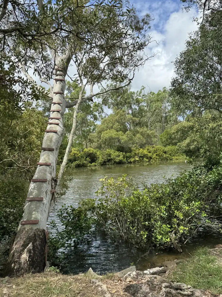 Third view of Homely rural property listing, 1310 Pumicestone Rd, Toorbul QLD 4510
