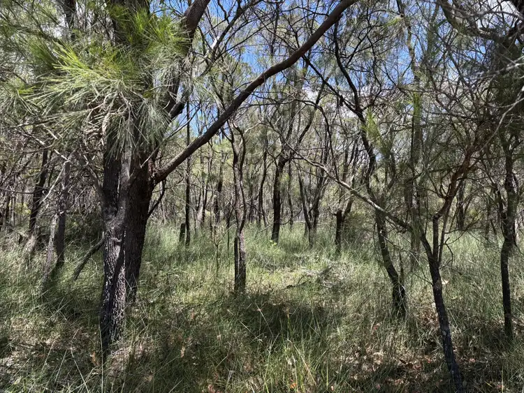 Third view of Homely land listing, 3 Cestrum St, Russell Island QLD 4184