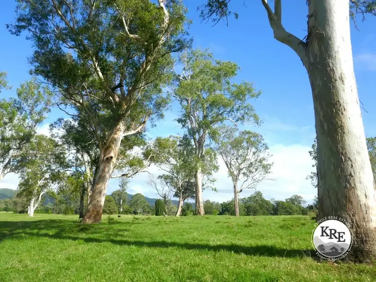 1038 Summerland Way, Kyogle NSW 2474