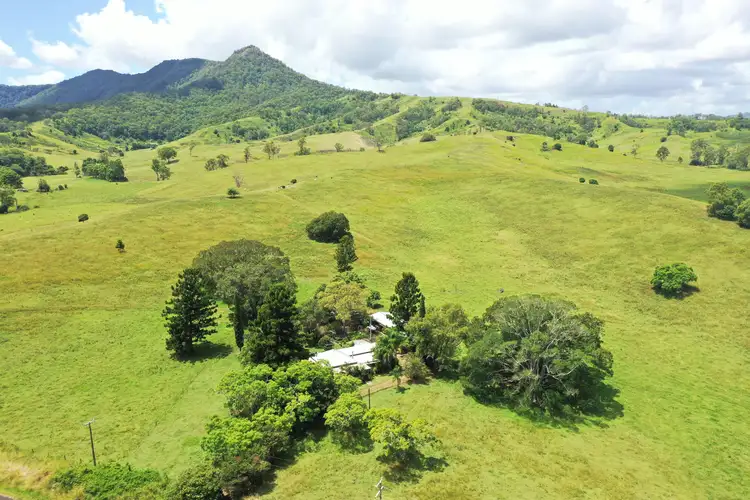 Third view of Homely rural property listing, 1038 Summerland Way, Kyogle NSW 2474