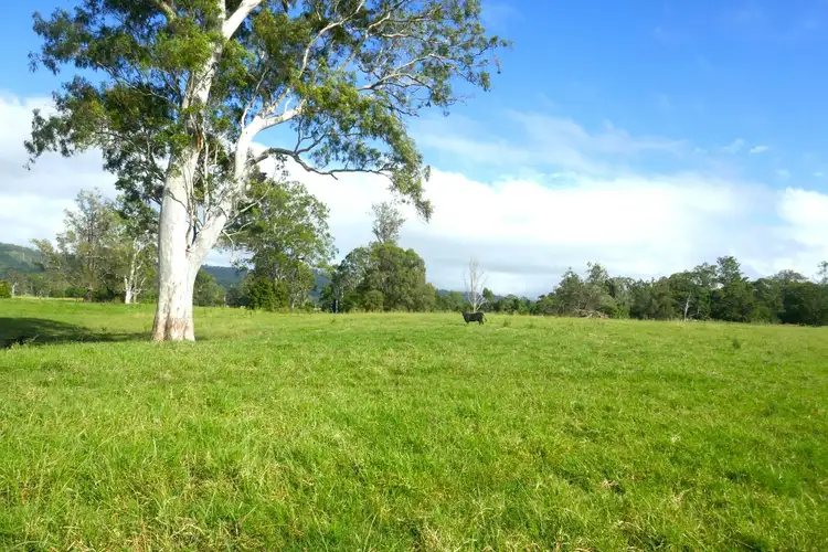 Seventh view of Homely rural property listing, 1038 Summerland Way, Kyogle NSW 2474