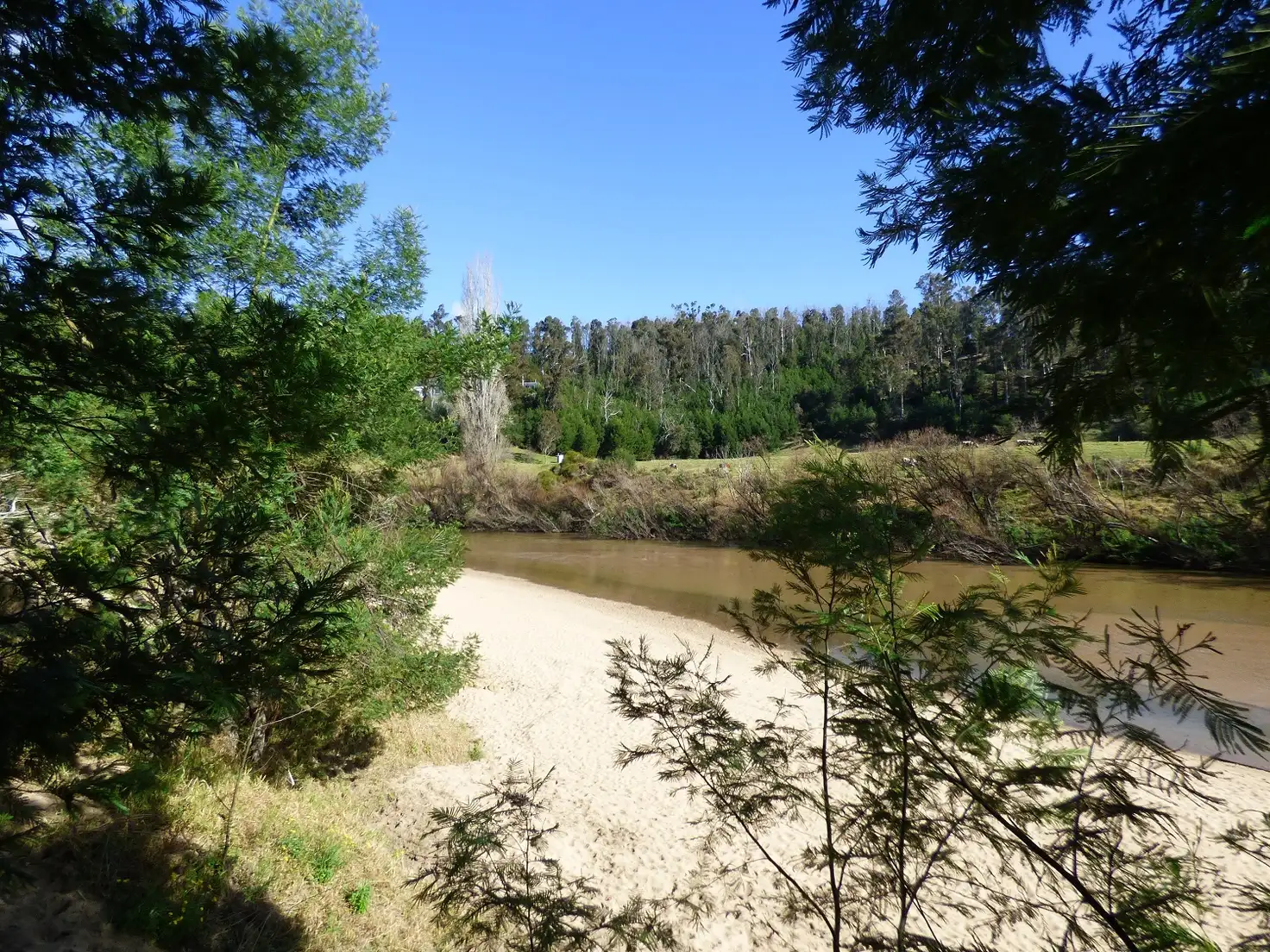 Main view of Homely rural property listing, 1394 Princes Hwy, KIAH Via, Eden NSW 2551