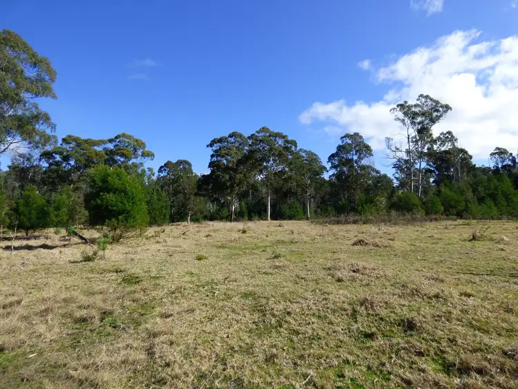 Fourth view of Homely rural property listing, 1394 Princes Hwy, KIAH Via, Eden NSW 2551