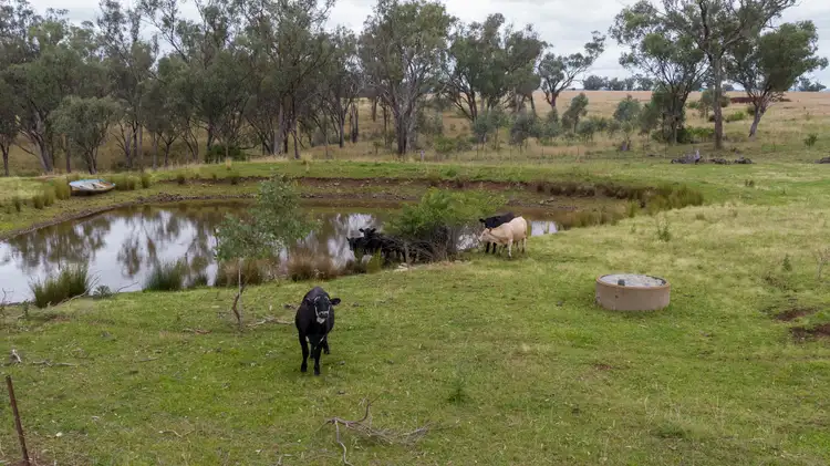 95 Copeton Dam Rd, Inverell NSW 2360