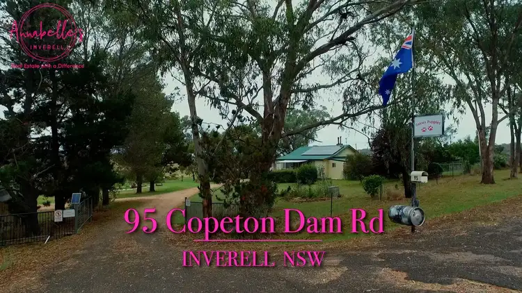 Fourth view of Homely rural property listing, 95 Copeton Dam Rd, Inverell NSW 2360