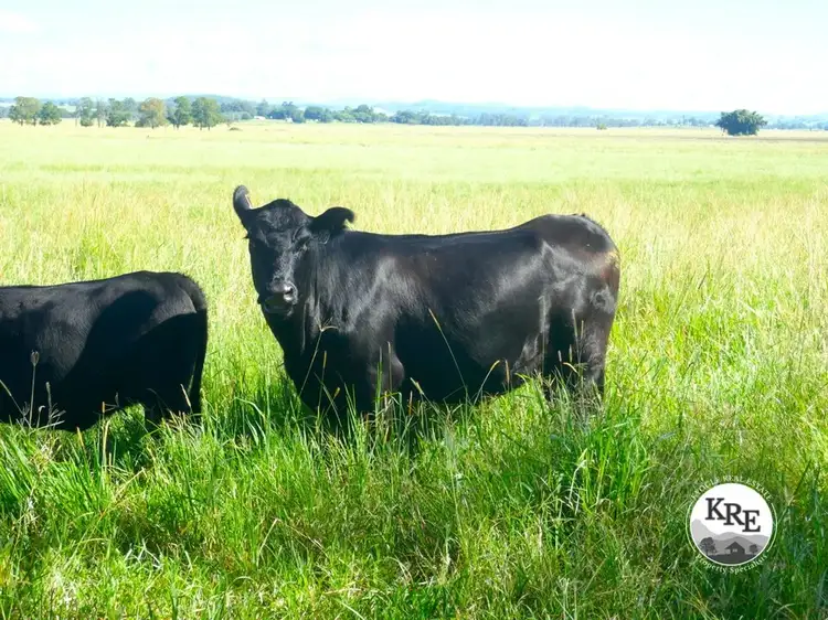 Lot 12 Shephard's Road, Casino NSW 2470