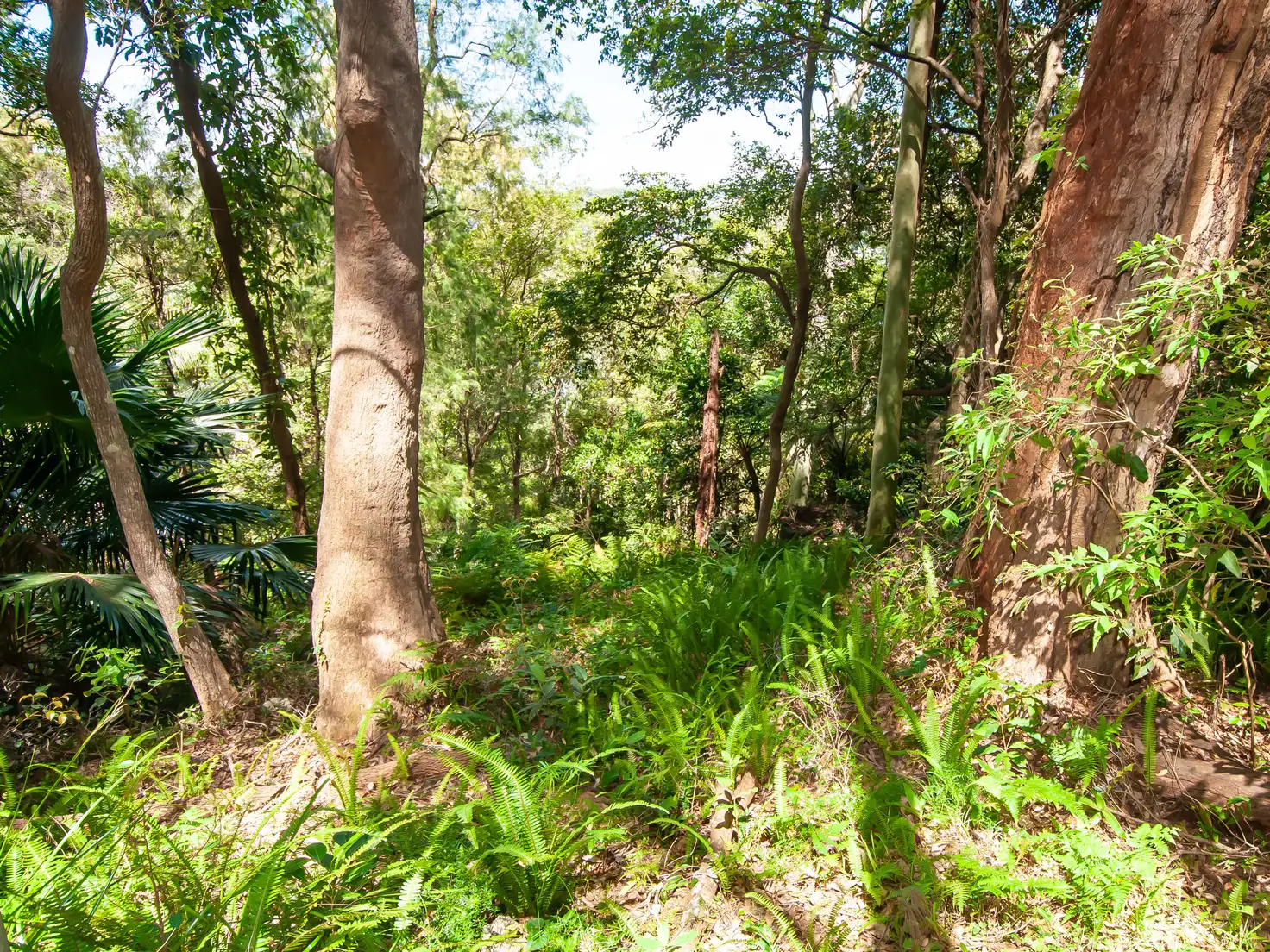 Main view of Homely land listing, 93 Thompson St, Scotland Island NSW 2105
