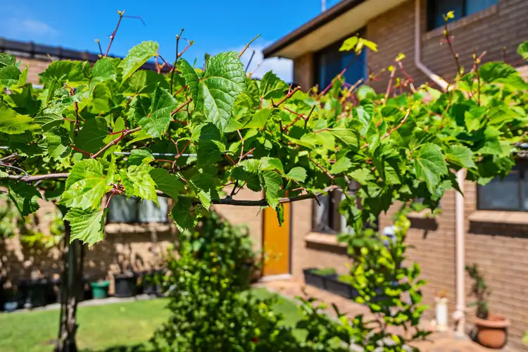 Fourth view of Homely house listing, 26 Gordon Road, Long Jetty NSW 2261