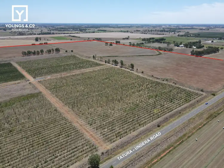 Second view of Homely rural property listing, 508 Fenaughty Road, Tatura VIC 3616