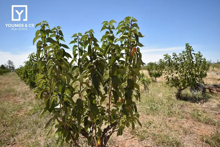 Fifth view of Homely rural property listing, 508 Fenaughty Road, Tatura VIC 3616
