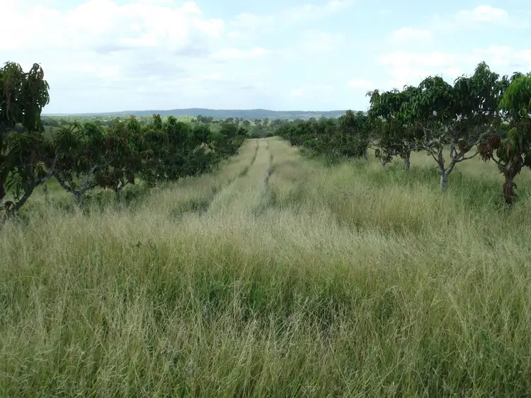 Fourth view of Homely rural property listing, 232 Goodnight Scrub Road, Morganville QLD 4671