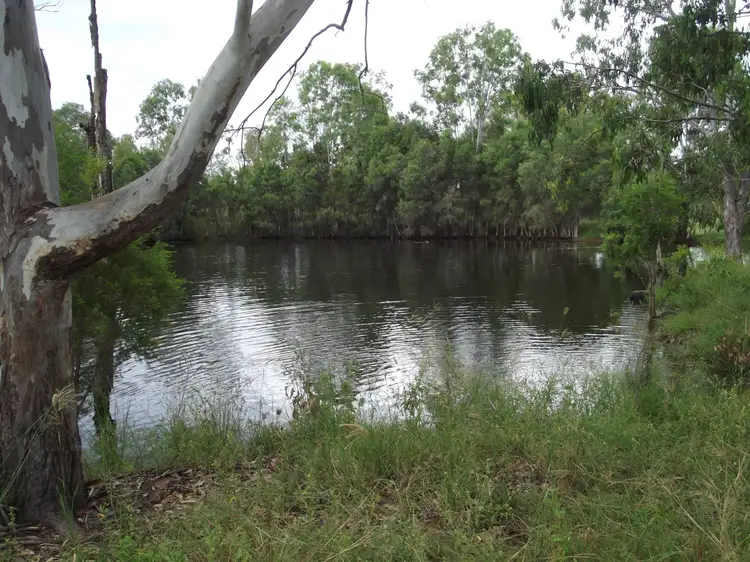 Seventh view of Homely rural property listing, 232 Goodnight Scrub Road, Morganville QLD 4671