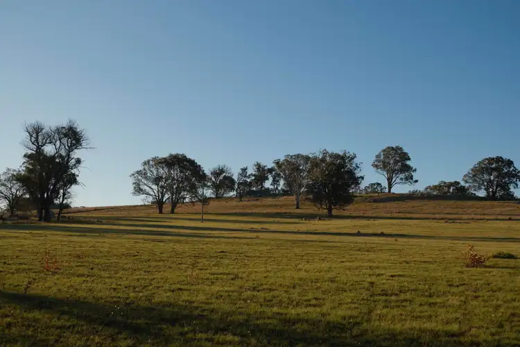 Fifth view of Homely land listing, 120 Mount MacKenzie Road, Tenterfield NSW 2372