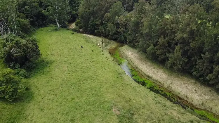 3643 Taylors Arm Rd, Burrapine NSW 2447