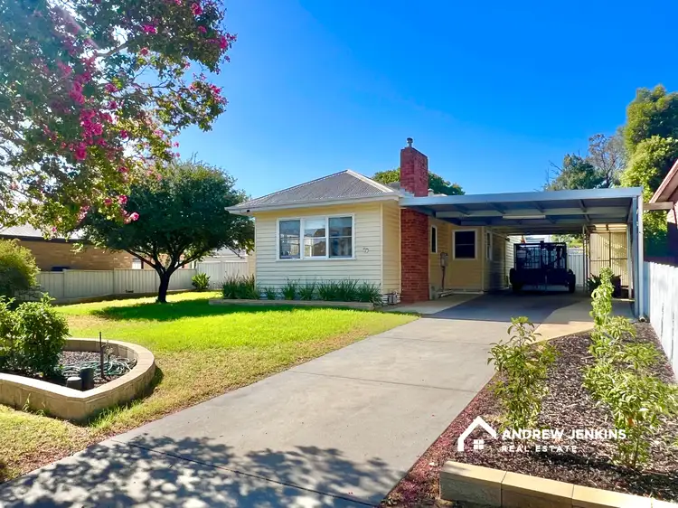 Main view of Homely house listing, 49 Collie St, Barooga NSW 3644
