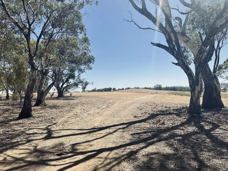 Main view of Homely rural property listing, Lot 20 Macdonald Rd, Stanley Flat SA 5453