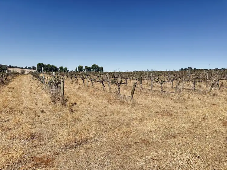 Second view of Homely rural property listing, Lot 20 Macdonald Rd, Stanley Flat SA 5453