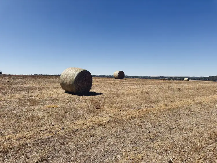 Third view of Homely rural property listing, Lot 20 Macdonald Rd, Stanley Flat SA 5453