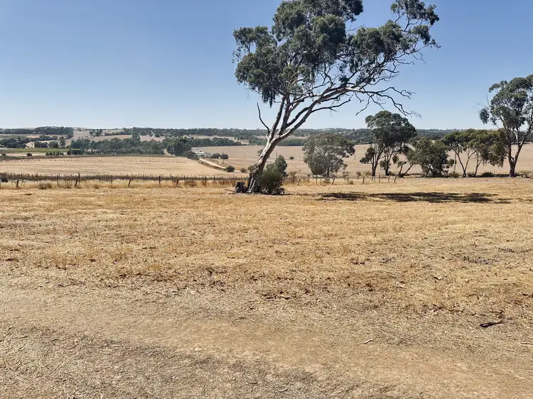 Seventh view of Homely rural property listing, Lot 20 Macdonald Rd, Stanley Flat SA 5453