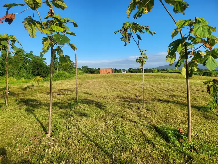 Third view of Homely land listing, LOT 9 Andy Sorbello Rd, Silky Oak QLD 4854