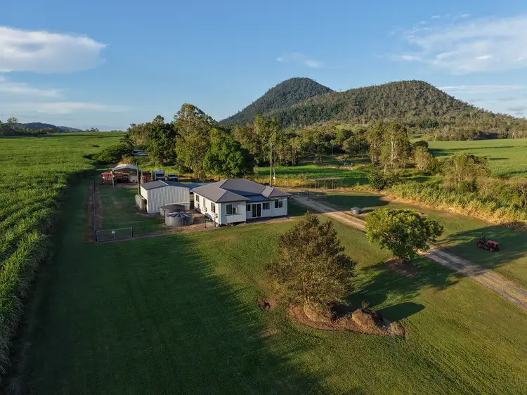 Second view of Homely rural property listing, 994 Mt Martin Loop Rd, Mount Martin QLD 4754