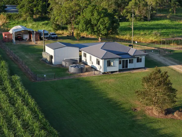 Third view of Homely rural property listing, 994 Mt Martin Loop Rd, Mount Martin QLD 4754