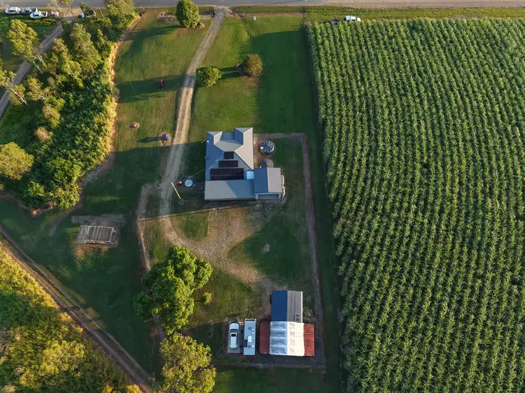 Fifth view of Homely rural property listing, 994 Mt Martin Loop Rd, Mount Martin QLD 4754