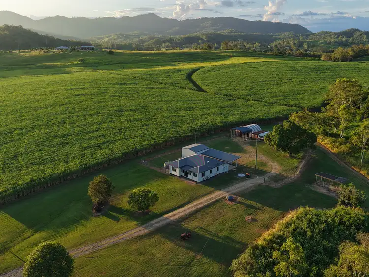 Sixth view of Homely rural property listing, 994 Mt Martin Loop Rd, Mount Martin QLD 4754