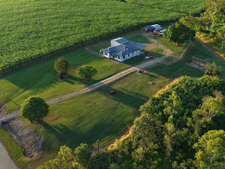 Seventh view of Homely rural property listing, 994 Mt Martin Loop Rd, Mount Martin QLD 4754