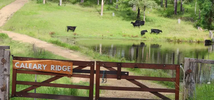 Fourth view of Homely land listing, 5887 Oxley Highway, Ellenborough NSW 2446