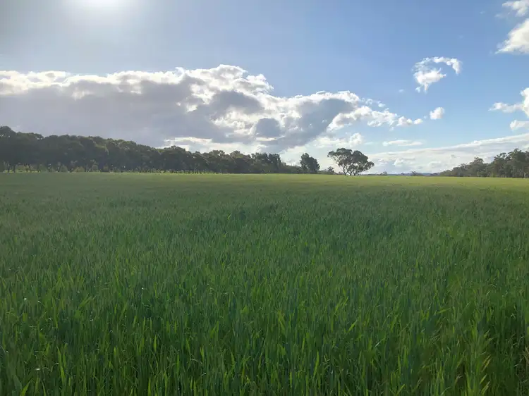 Lot 22 Clackline-Toodyay Road, Hoddys Well WA 6566