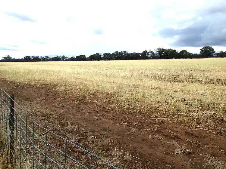 Lots 10 & 11 Clohesseys Road, Norong VIC 3682