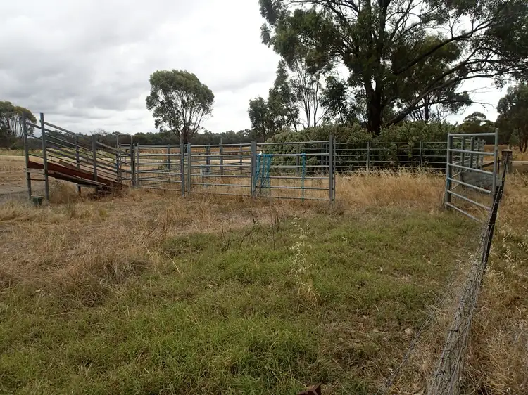 Second view of Homely rural property listing, Lots 10 & 11 Clohesseys Road, Norong VIC 3682