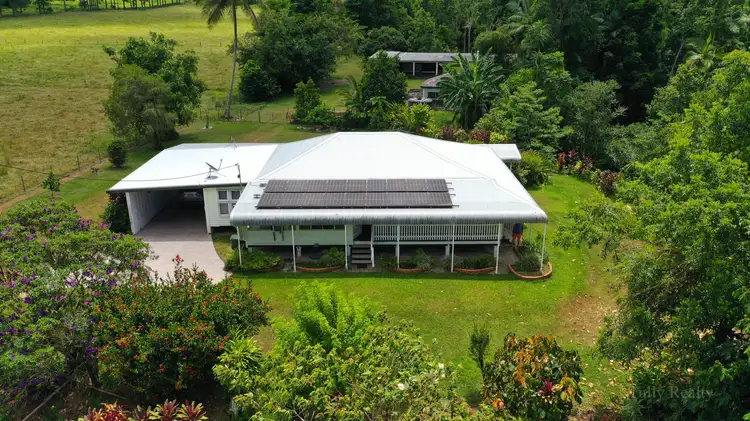 Main view of Homely house listing, 687 Old Tully Rd, Djarawong QLD 4854