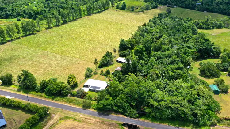 Third view of Homely house listing, 687 Old Tully Rd, Djarawong QLD 4854
