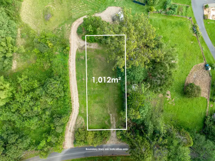 485 Left Bank Rd, Mullumbimby Creek NSW 2482
