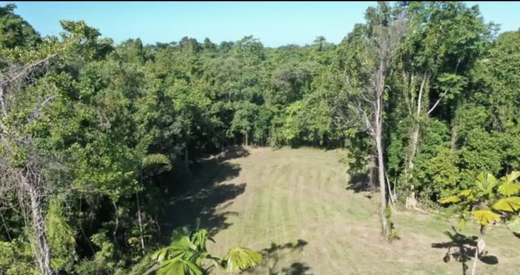 Sixth view of Homely land listing, 1377 El Arish Mission Beach Rd, Mission Beach QLD 4852