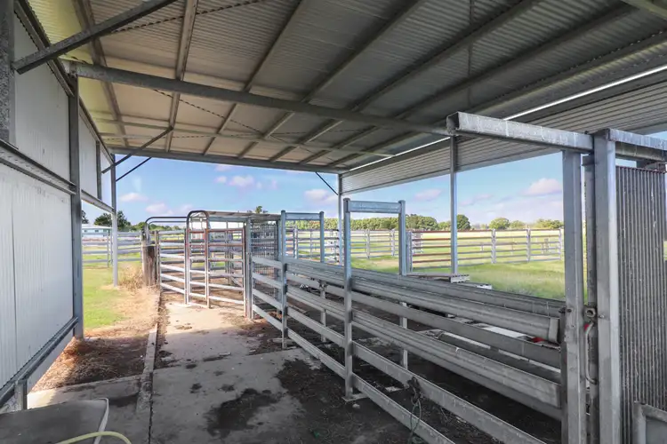 Seventh view of Homely rural property listing, 100 Belmore River Left Bank Rd, Belmore River NSW 2440