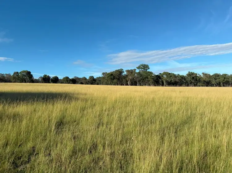 Fifth view of Homely land listing, 132a Eukey Road, Stanthorpe QLD 4380