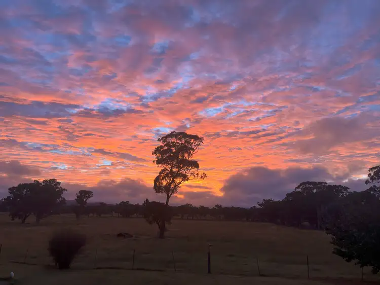 1254 Nant Park Road, Deepwater NSW 2371