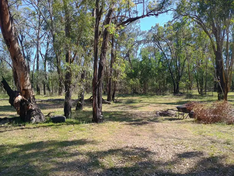 550 Cainbil Road, Coolah NSW 2843