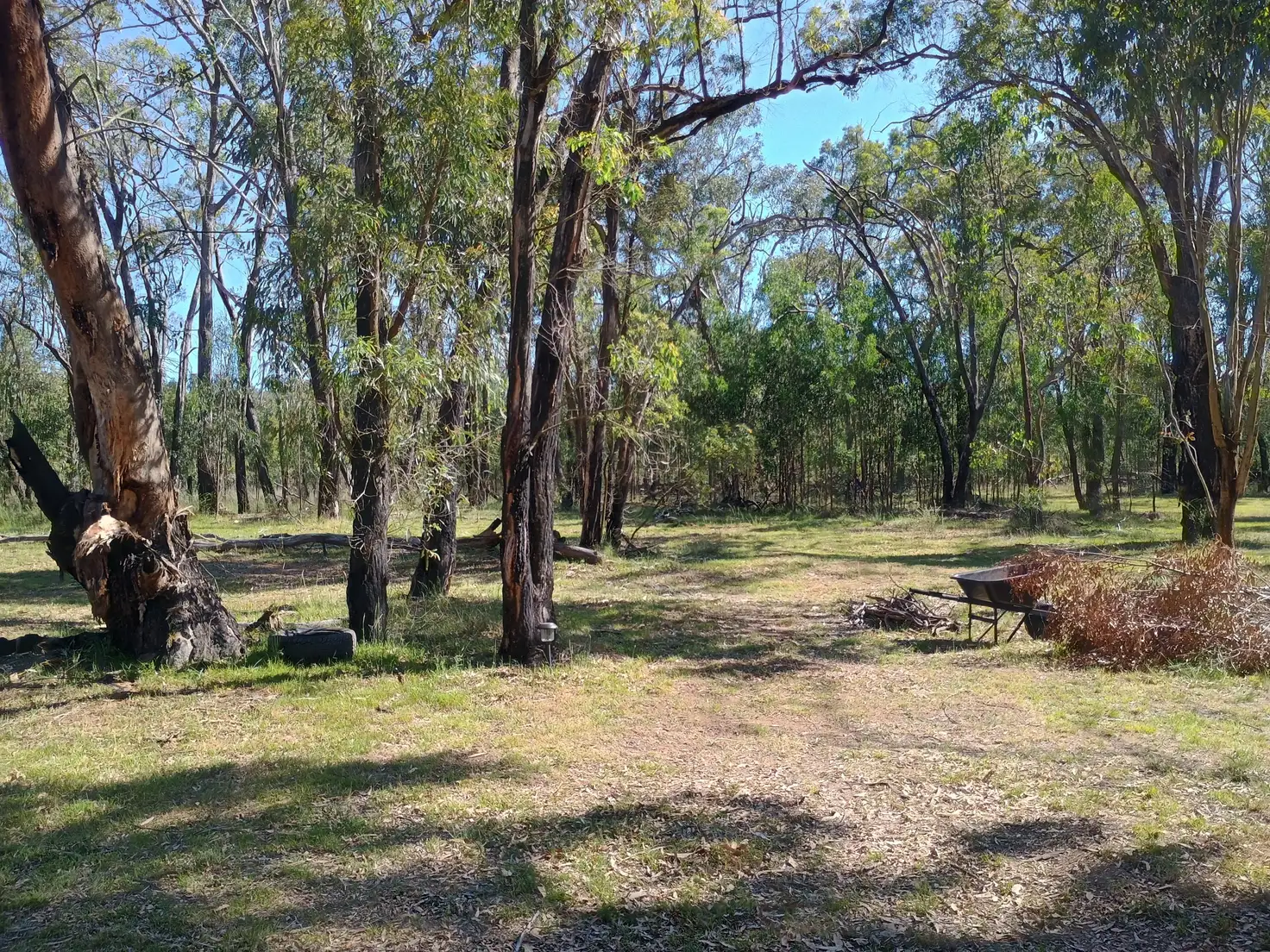 Main view of Homely land listing, 550 Cainbil Road, Coolah NSW 2843