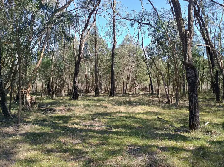 Fifth view of Homely land listing, 550 Cainbil Road, Coolah NSW 2843