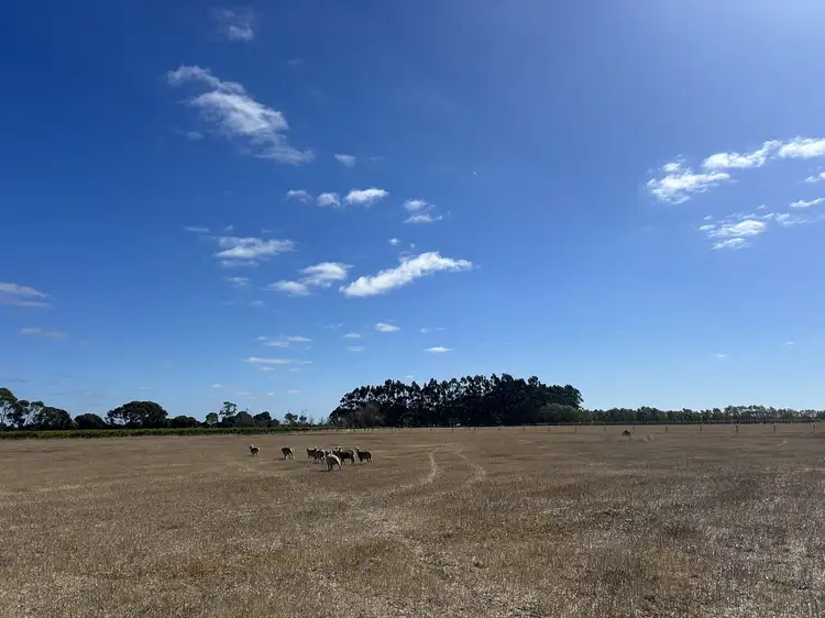 Fifth view of Homely land listing, Allotment 11 Mt Burr Rd, Penola SA 5277