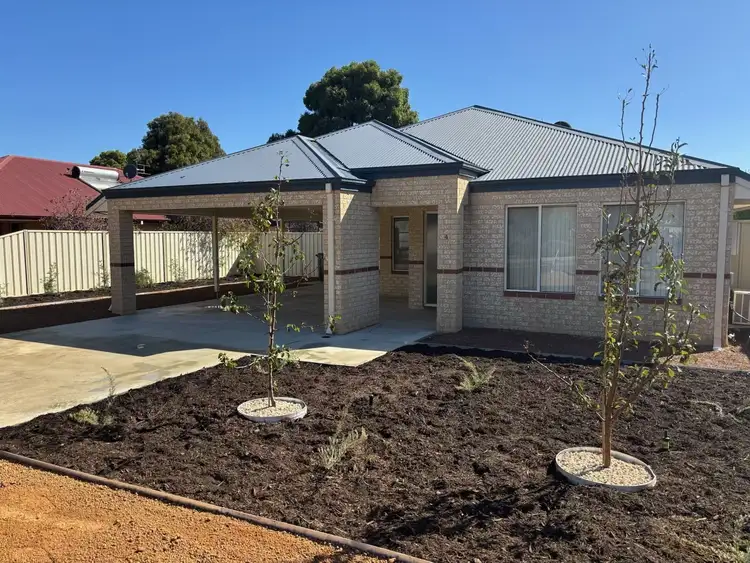 Main view of Homely house listing, 4 Haines St, Merredin WA 6415