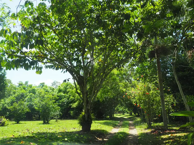 Third view of Homely house listing, 2017 Tully Mission Beach Road, Wongaling Beach QLD 4852