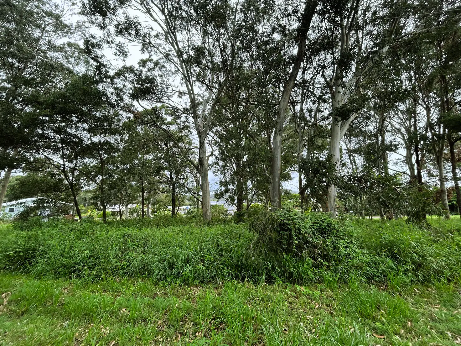 Main view of Homely land listing, 14 Zephyr St, Russell Island QLD 4184
