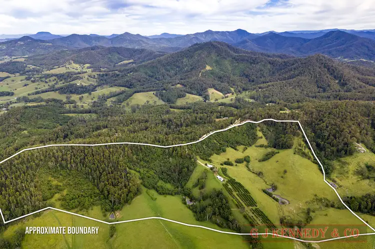Main view of Homely rural property listing, 344 Williams Hill Rd, Talarm NSW 2447